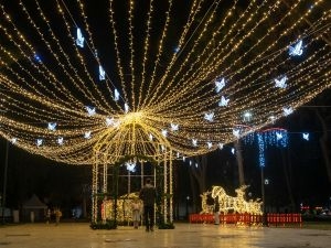 Professional Lighting Company with Proven Track Record